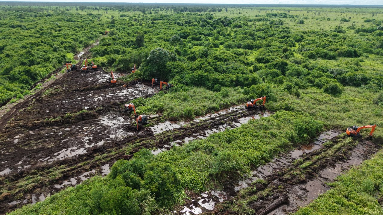 Land Clearing - CSR