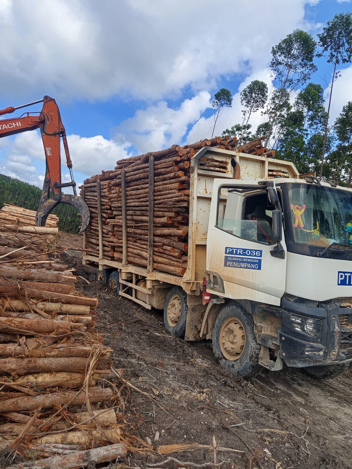 Loading to Truck